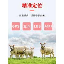 Direct selling Ou Chuang cattle sheep and horse GPS locator animal camel mountain collar tracker waterproof anti-lost anti-theft tracking