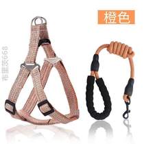 Dog Teddy Dog Cat Golden Retriever Small Medium-sized Collar Chain Dog Walking Rope Cat Traction Rope Dog Supplies Dog Walking