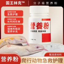 KINGLINK Nutritional Powder is a universal anti-feeding filling for postpartum gecko lizard carnivorous reptiles.