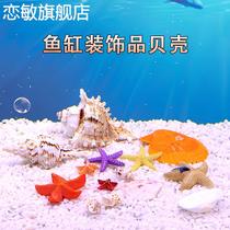 Fish tank decoration natural shell conch aquarium underwater world landscaping accessories small ornaments ecological fish tank interior