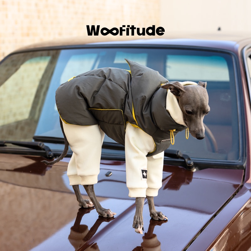 Woofitude'Layer Ridge' 95% White Duck down Vest down Jacket for Beagles and Small Greyhounds, Autumn and Winter Warmth