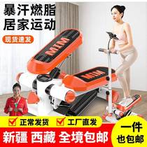 Xinjiang Tibet stepper home weight loss machine multi-functional silent slimming waist slimming leg climbing machine in situ