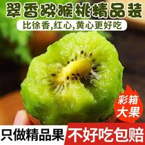 Kiwi vert authentique du Shaanxi 30 pièces 24 fruits frais de saison pour femmes enceintes cueillis maintenant