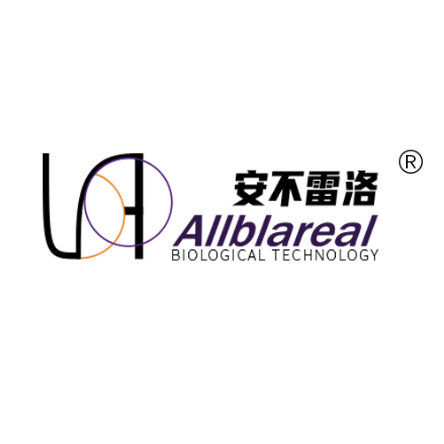 安不雷洛企业店
