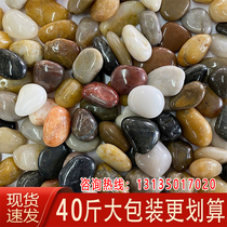 Jiangxi pebble stream stone fish tank bottom landscaping sand water tank swamp filter small pebbles native pimple stone
