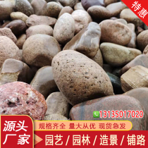 Gansu paving river pebbles cobblestone paving large black and white stone raw stone fish tank decoration natural goose soft warm stone