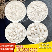 Zhejiang white gravel pebble multi-meat paved white stone white pebble white pebble rice