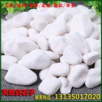 Guangdong small white stone fine white marble stone milk white small stone highly polished white stone white stone rice gravel white