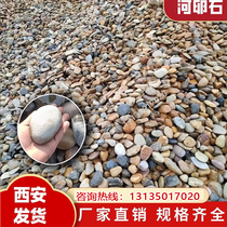 Henan river pebbles cobblestone filter material substation transformer river pebbles landscaping river beach stones