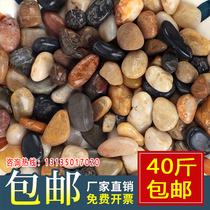 Hubei Natural Pebble Bean Floor Warm Backfill Construction Household Water Swamp Filter Little Stone Home Warm