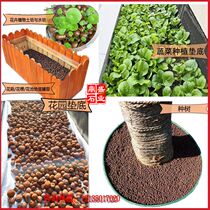 Shanghai ceramsite anti-rot root breathable flower succulent orchid ceramsite flower pot bottom pavement hydroponics flower terracotta grains