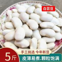 白芸豆5斤新货 云南农家中粒白云豆好煮易烂大白豆豆类五谷杂粮