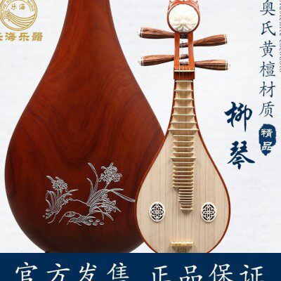 乐海中阮:古典与现代的完美融合,开启你的音乐之旅🎵🎶-阮-淘宝百科网