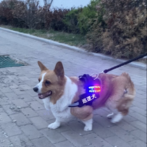 Dog walking light night warning light dog tactical vest luminous light anti-lost Labrador large dog Corgi harness