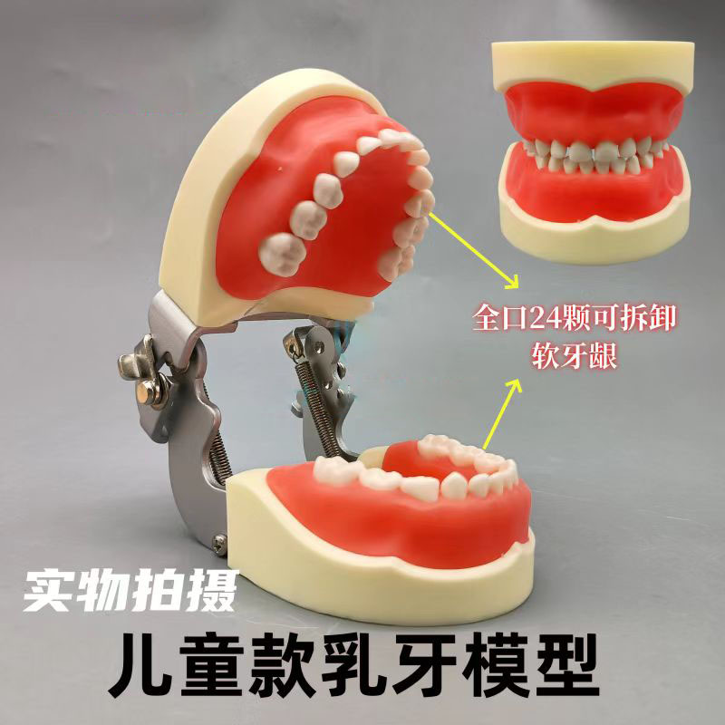 牙科口腔模型教学儿童假牙练习牙模型牙齿标准可拆卸刷牙全口乳牙
