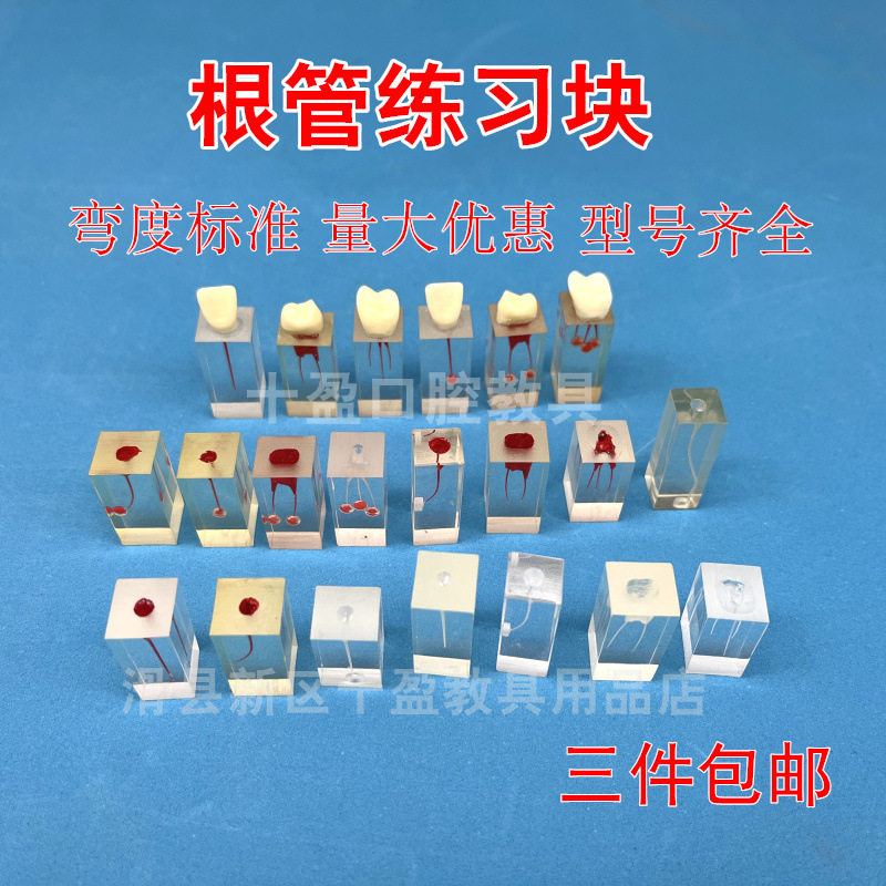 牙科树脂根管练习块模型 牙体牙髓透明根管预备充填修复根管模型