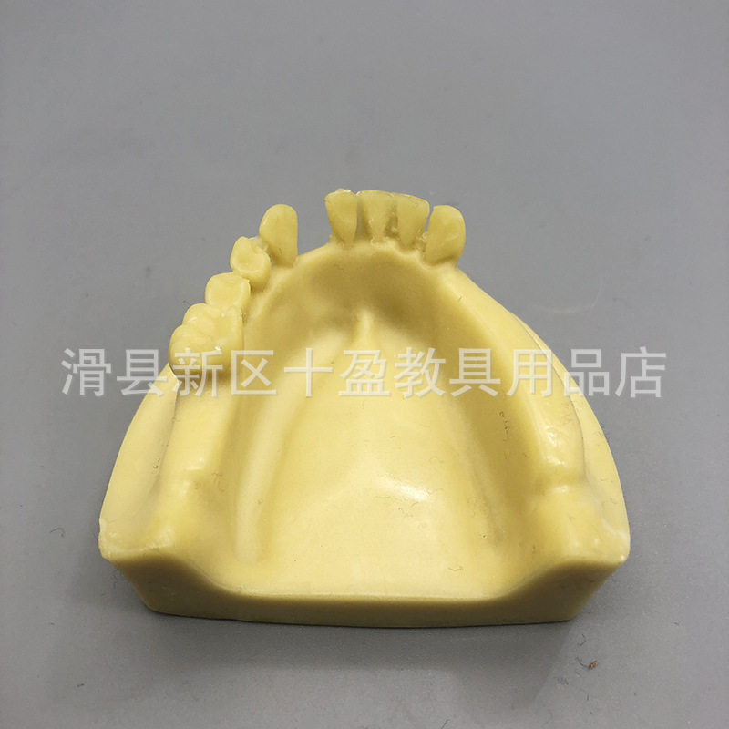 牙科口腔下颌骨种植练习模型 发泡缺失牙种植 学生牙医种植练习