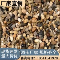 Yunnan natural cobblestone washed filter material stone swamp filter stone floor heating leveling backfill special pimple stone