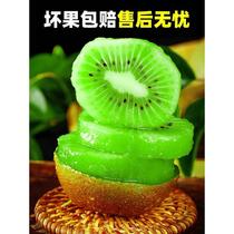 Shaanxi Zhouzhiyate kiwi frais 10 livres gros fruits de saison fruit vert coeur fraîchement cueilli kiwi boîte entière