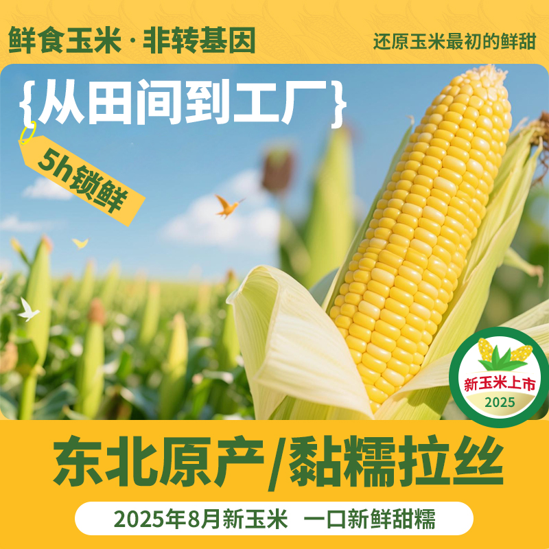 Yellow waxy corn slightly sweet and low fat 220g*8 pieces vacuum packed