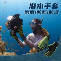 Professional waterproof diving sea gloves sailing surfing mens and womens rafting paddle board anti-sports swimming and wear-resistant special
