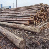 Fir wood pile river piling log greening support pole outdoor landscape garden slope protection flood control cylindrical pine wood pile