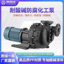 Horse belly pump plastic chemical pump electroplating pump corrosion-resistant water pump large head pump tank external pump horizontal acid and alkali resistant self-priming pump