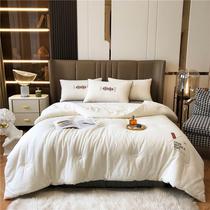 High-grade washed cotton ins Japanese-style soybean fiber single and double autumn and winter quilt core cover soft summer cool quilt plus