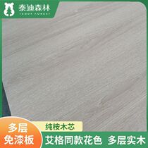 Guangdong wood veneer panel background wall decorative panel paint-free board solid quick-installation integrated wainscot panel available from stock