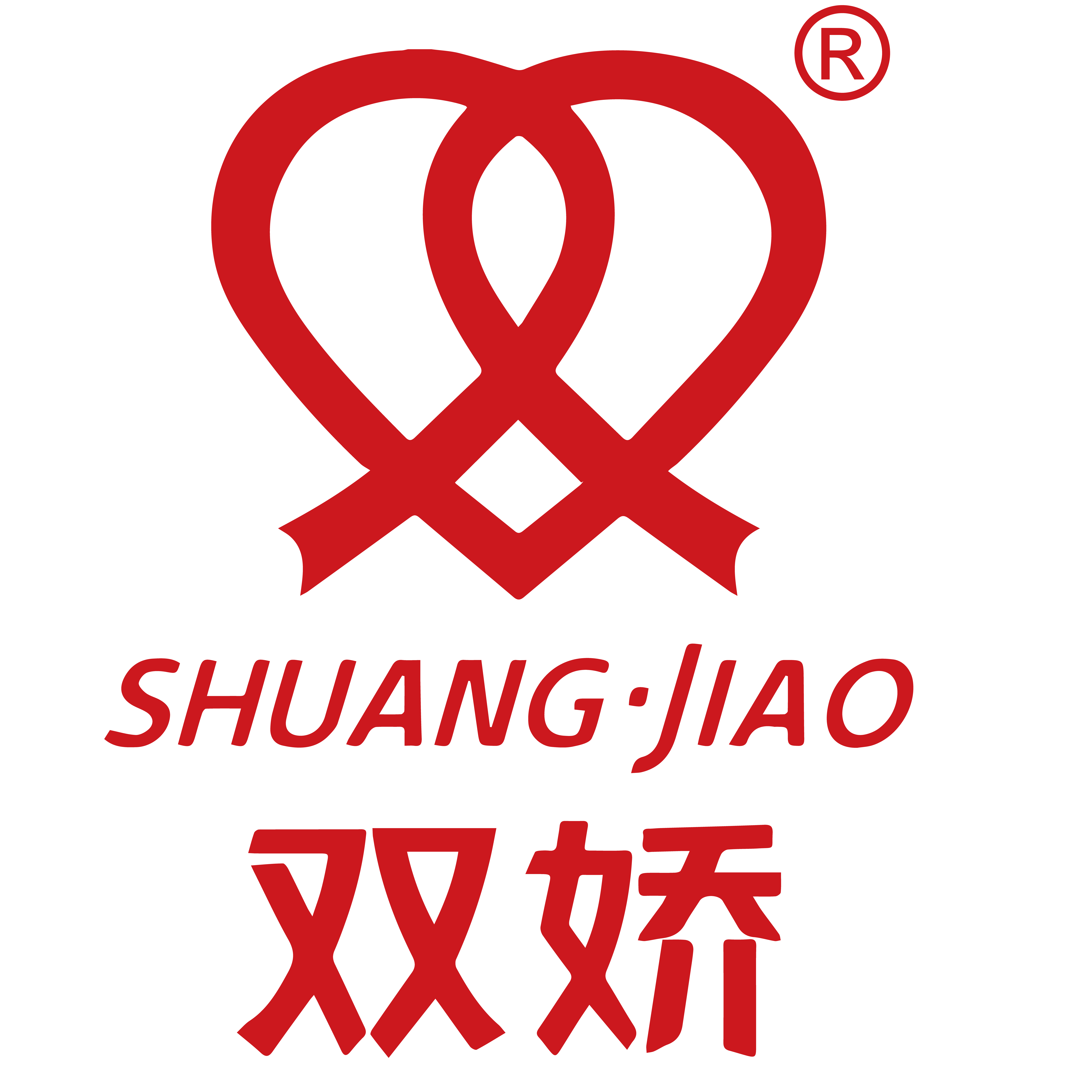 双娇旗舰店