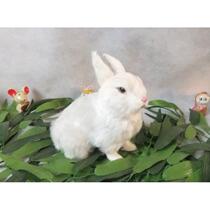 New simulated animals simulated fur animals simulated rabbits creative handicrafts creative trinkets