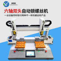 Automatic screw machine Double head double Y fully automatic double head double station screw machine multifunctional six-axis screw machine manufacturer