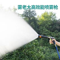 Aolin imported atomizer spray gun Taiwan agricultural electric sprayer high-pressure plunger pump fruit tree spray gun