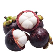 Seedless mangosteen seedlings that bear fruit in the current year are shipped with soil and leaves and can be planted in the north and south.