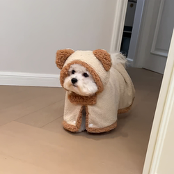 Dog Clothes, Cloak, Warm and Thickened Pet Dog Nightgown, Quilt, Blanket, Cute Autumn and Winter Style for Small and Medium-Sized Dogs