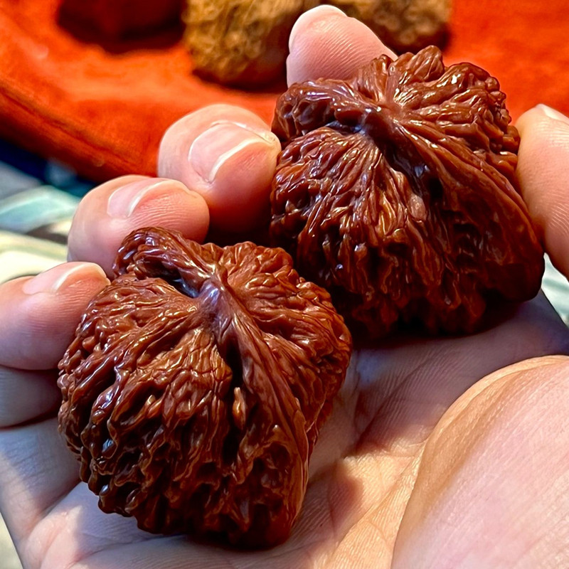 25年最火的文玩核桃推荐！四座楼狮子头机刷包浆变红，练手手盘必备精品