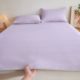 Doudou ice silk mat soft mat summer bed sheets washing mat cool feeling folding ice silk mat air conditioner machine washable for home use