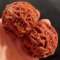 Wenwan walnut extra large collection grade machine brushed jade unicorn pattern lin official hat four buildings lion head bracelet t