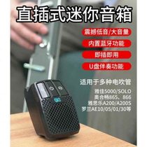 Electric blow tube direct plug-in special speaker direct plug-in small speaker musical instrument audio Yajia 5000 Zhuoen Jiuyou external