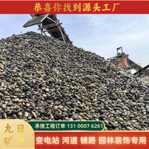 Jiangsu Pebble River Pebble substation special river paving pebble filter material garden landscaping