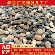 Fujian Doushi Wholesale Floor Heating Backfill Stone Filtration Water Treatment Filter Material Potted Stone Fish Tank Landscaping