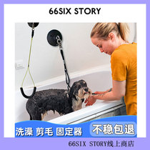 Cat anti-running rope pet bathing fixator dog bathing shearing plug dog anti-running fixing artifact beautiful suction cup