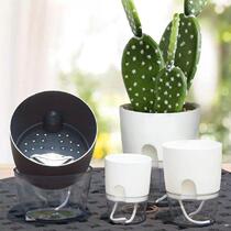 2 Layer Self Watering Plant Flower Pot Watering Container