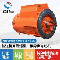 Suzhou mining explosion-proof motor YBSD-200 100-4 8Y conveyor explosion-proof three-phase asynchronous motor