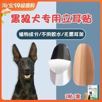 黑狼犬专用立耳器狗狗立耳朵神器幼犬立耳辅助器立耳贴小狗竖耳器