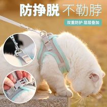 Clearance colorful cat and dog leash vest style small dog puppy cat harness Teddy dog ​​walking rope chain