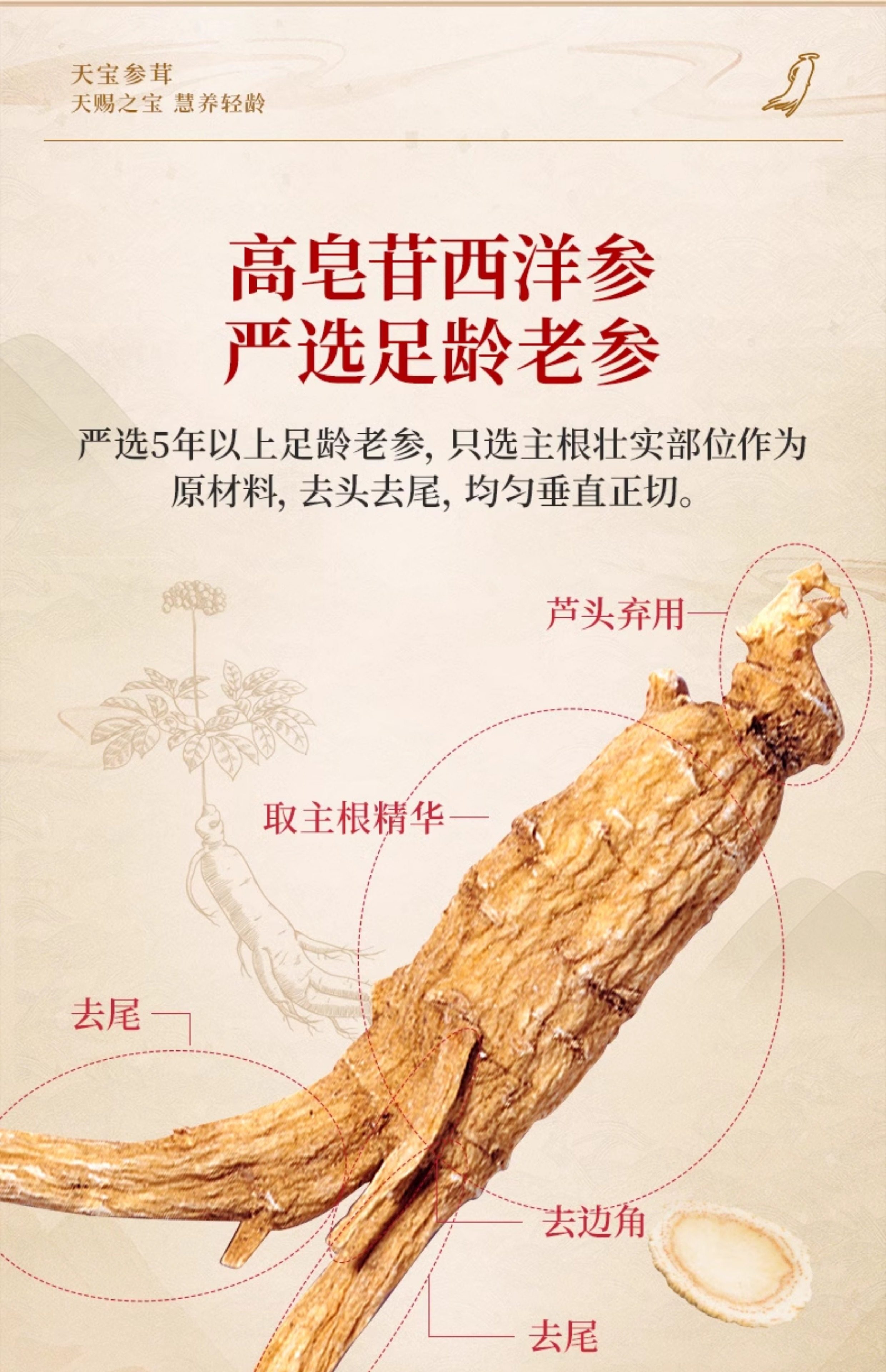 上海医药 慧远天宝 加拿大西洋参 50g 天猫优惠券折后￥26包邮（￥59-33）