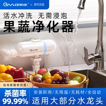 Owlce Super Oxygen Fruit and Vegetable Cleaner Purifier Live Water Washing Device for Vegetables, Removes Bacteria and Pesticide Residues