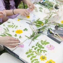 Arbor Day leaf knocking dyeing hammer kindergarten children di tie-dye square cloth rubbing hammer y tool material