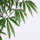 Artificial Plants: Deba Cycad, High-End Decorative Fake Green Plants for Home Decor, Artificial Ferns, Floor-Standing Landscaping